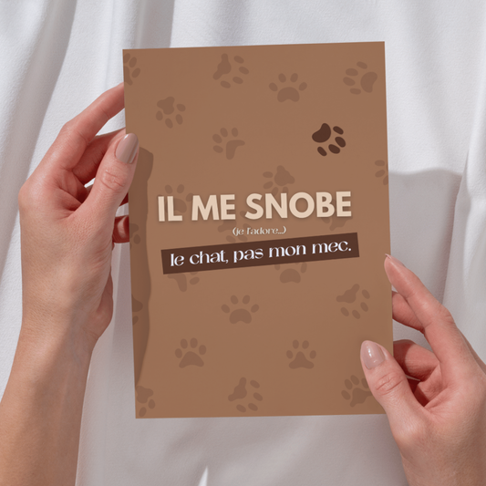 Affiche "Il me snobe"
