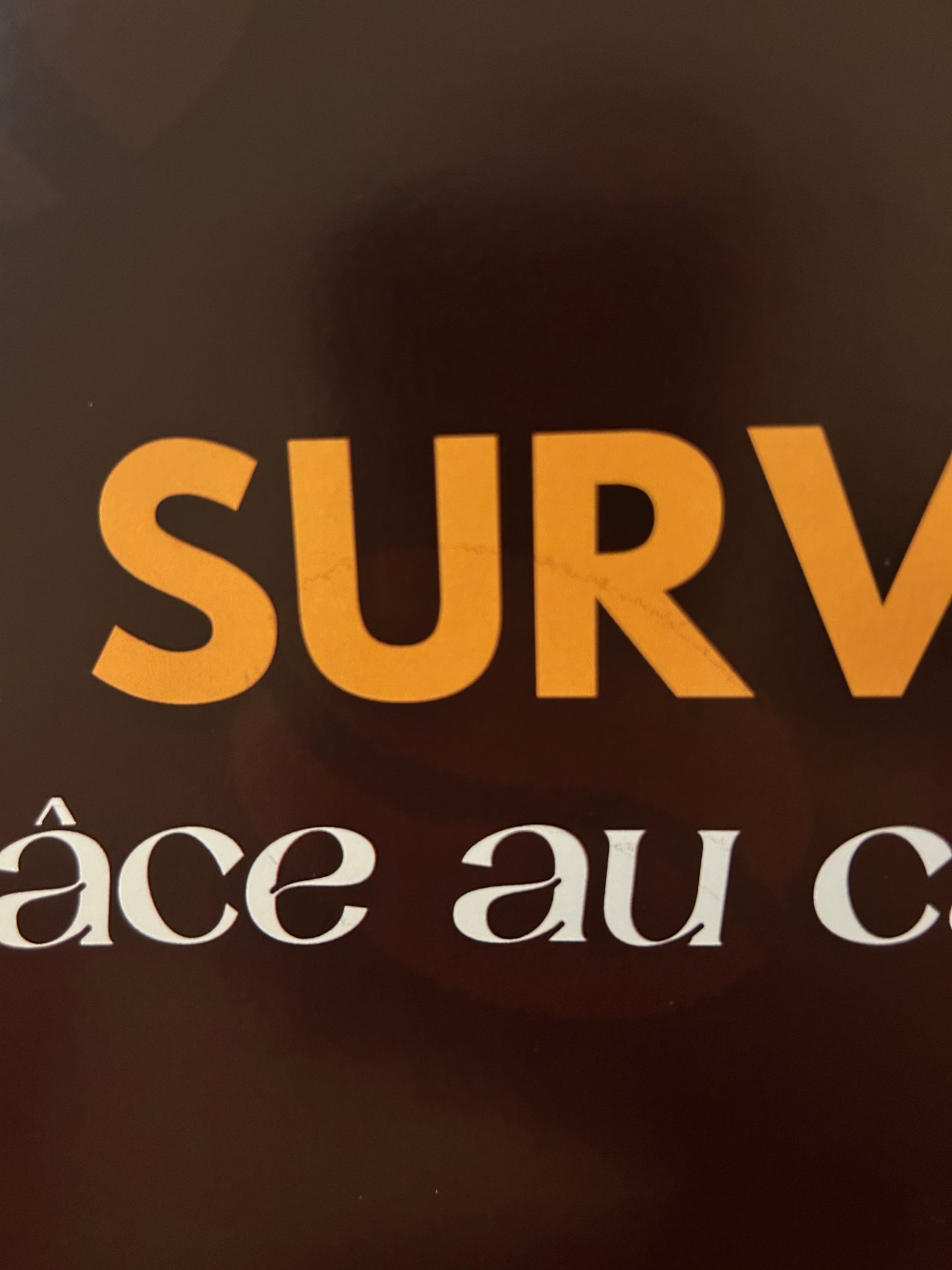 Affiche "Je survis grâce au café"