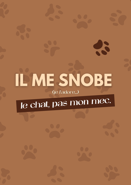 Affiche "Il me snobe"
