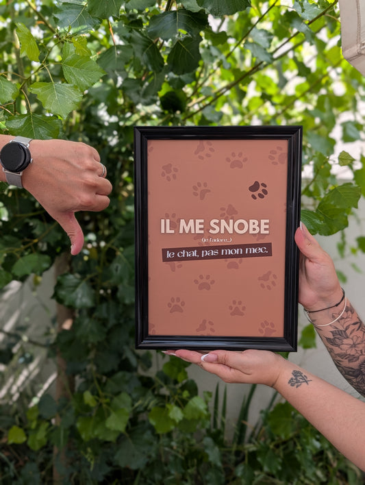 Affiche "Il me snobe"