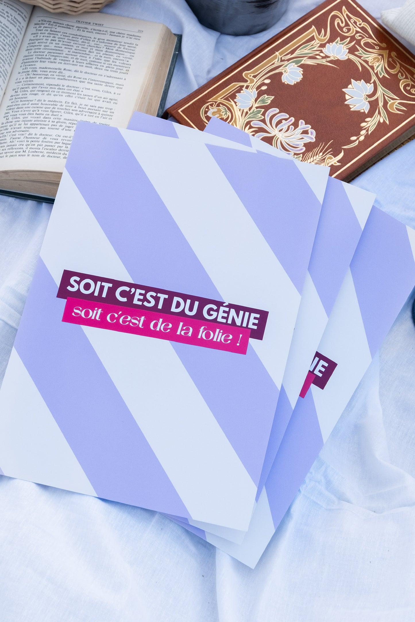 Affiche "soit c'est du génie, soit c'est de la folie"