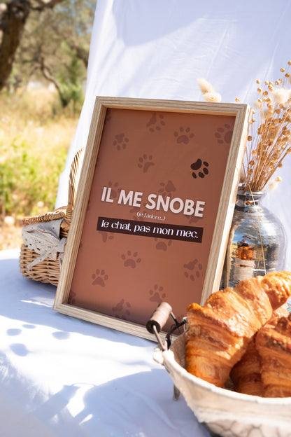 Affiche "Il me snobe"